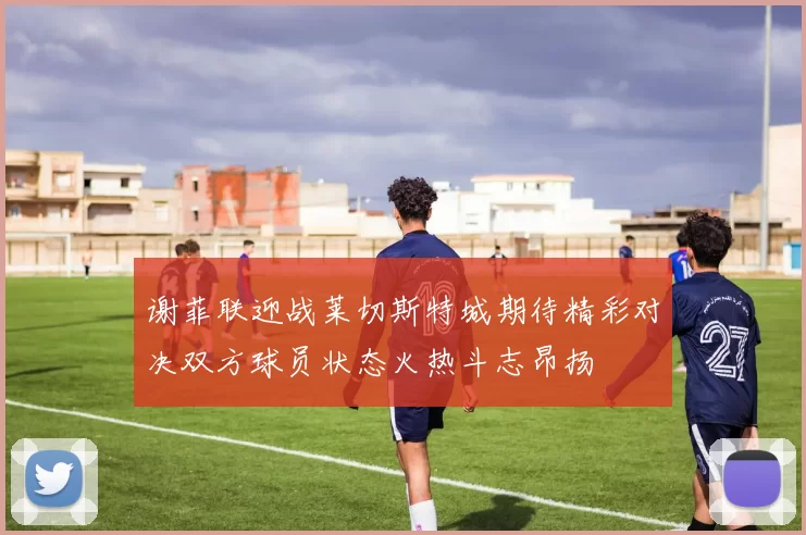谢菲联迎战莱切斯特城期待精彩对决双方球员状态火热斗志昂扬