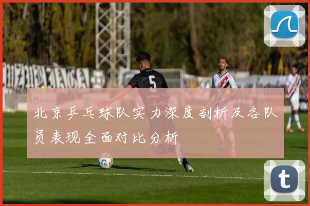 北京乒乓球队实力深度剖析及各队员表现全面对比分析