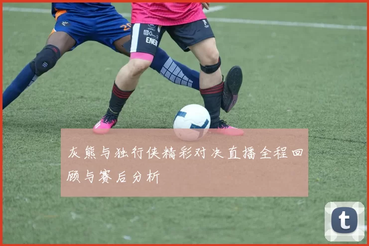 灰熊与独行侠精彩对决直播全程回顾与赛后分析
