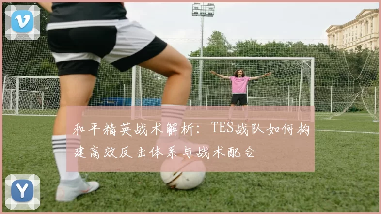 和平精英战术解析：TES战队如何构建高效反击体系与战术配合